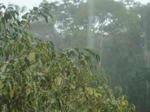 Alta Floresta; chuvas ajudam  amenizar o  forte calor 