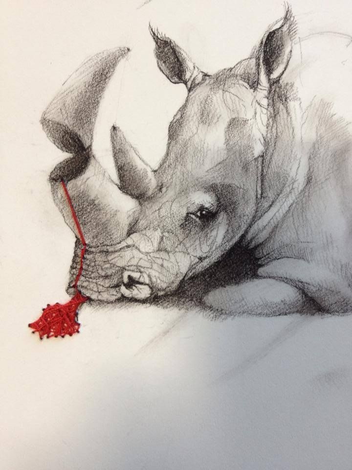 El Hurgador [Arte en la Red]: Rinocerontes (LVII)