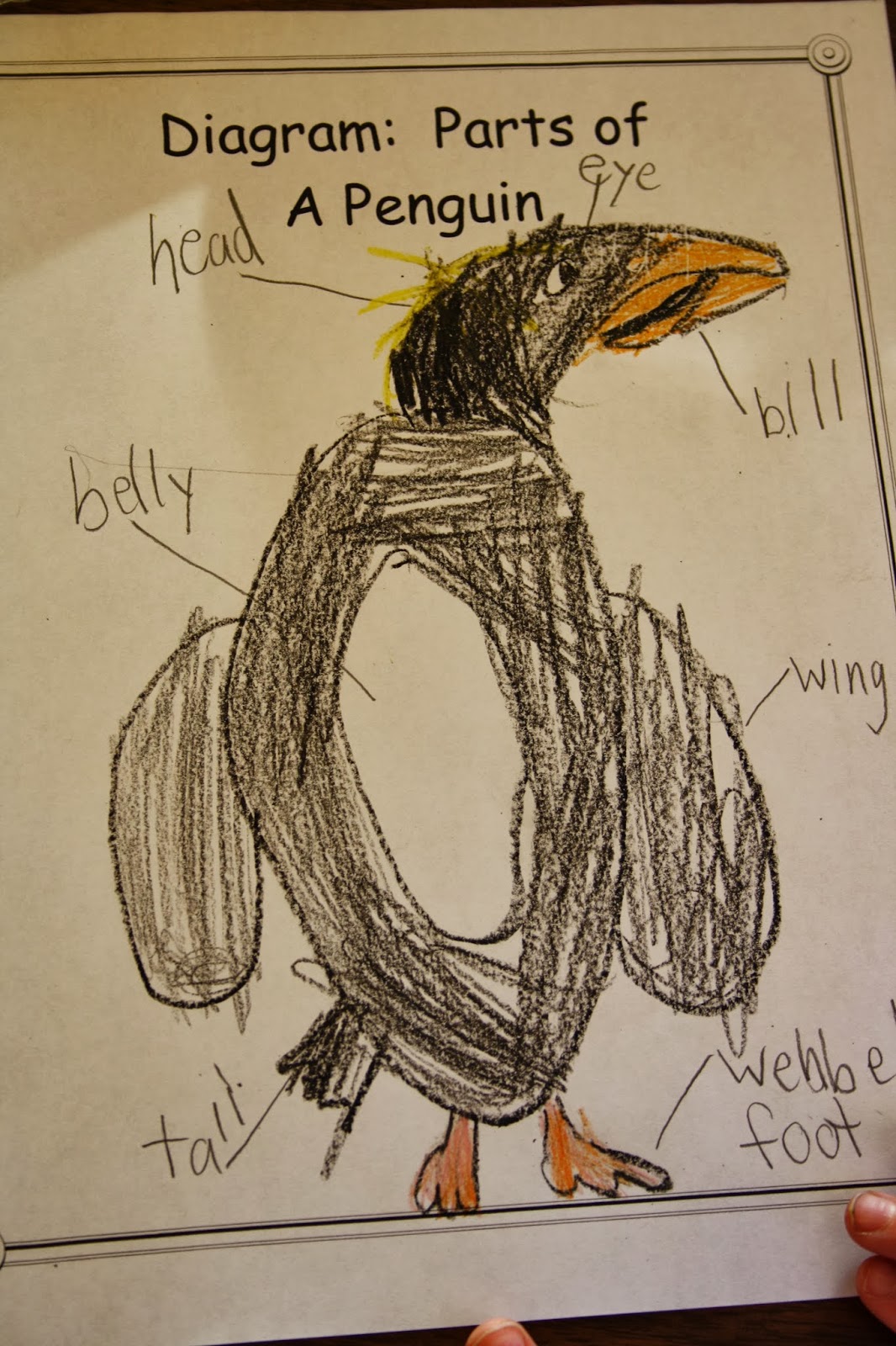 Mrs. Russo's Grade 1/2 Class: Penguins