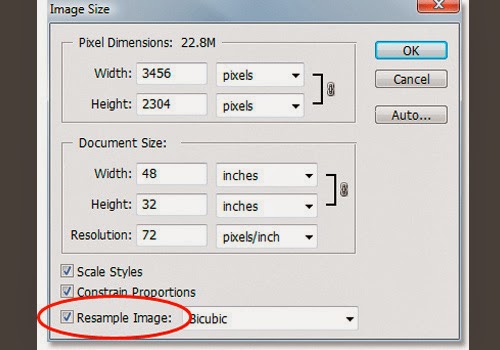 Difference Between ‘Resizing’ and ‘Resampling’ An Image Difference Between ‘Resizing’ and ‘Resampling’ An Image