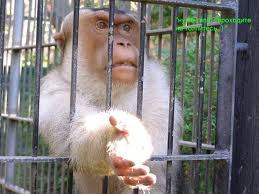 http://4.bp.blogspot.com/-DLQKglD_kfg/TgSLjekrHiI/AAAAAAAAAHM/rEGynv61eYk/s1600/%25D1%2586%25D0%25BA%25D0%25BF%25D0%25B5%25D0%25BA%25D0%25BA%25D1%2580%25D0%25B5%25D0%25B3.jpg