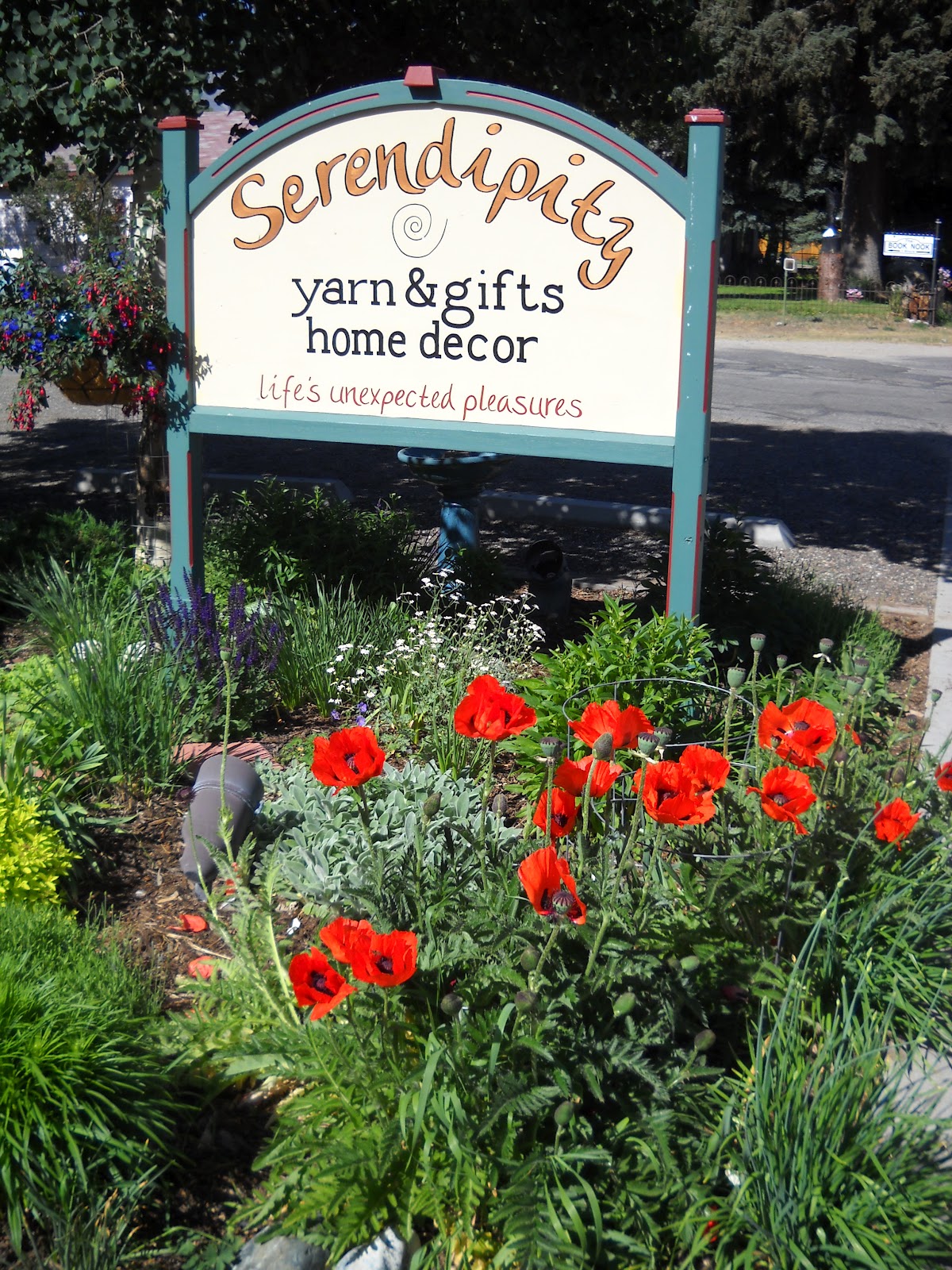 Serendipity Diary How does your garden grow????