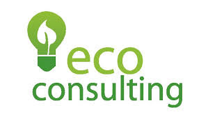 Consulting / Consultoria