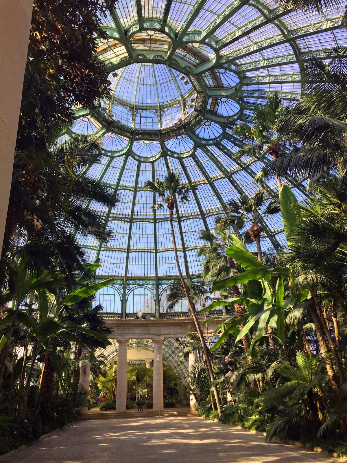 Interior das estufas reais de Laeken