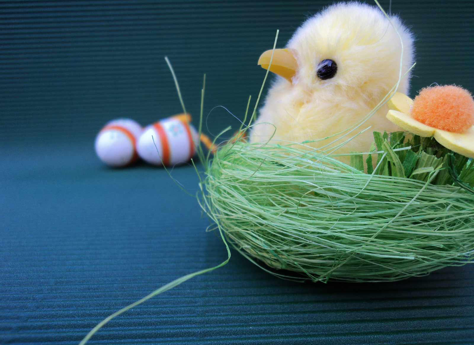 http://4.bp.blogspot.com/-DLrkKCRgeUc/T3HIR_gF7sI/AAAAAAAADh0/JqexMoc-osQ/s1600/high-quality-easter-backgrounds.jpg