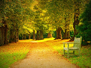 Fondo de pantalla de un lindo parque en la temporada de otoño con una . bello parque en la ã©poca de otoã±o