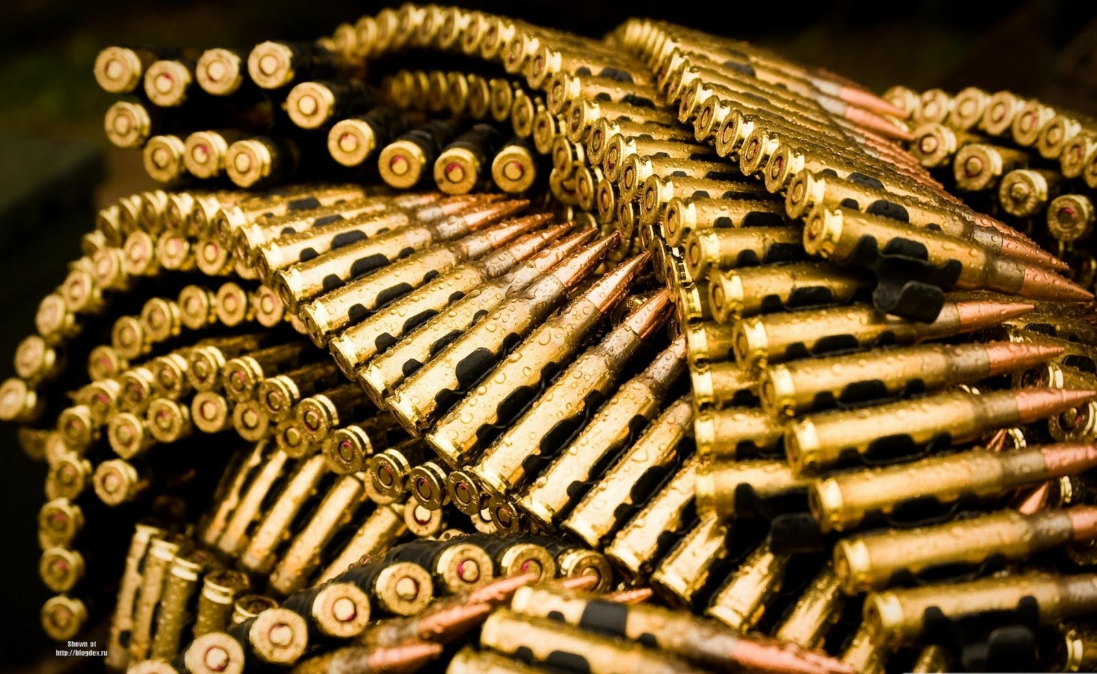 http://4.bp.blogspot.com/-DMQwDw3_iOI/Td3_LfQLnxI/AAAAAAAAHAk/Nlbg25JzUg8/s1600/hd%2Bwallpaper%2Bammunition%2Bbelt.jpg