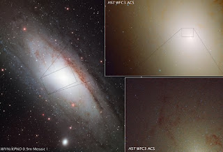 Rare ultra-blue stars found