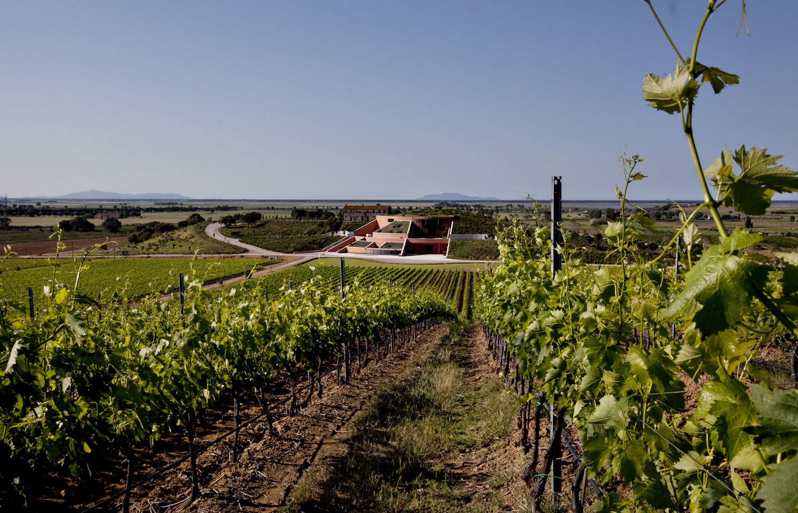 Percorsi di vino: luglio 2011 Creativo soffitto Botte