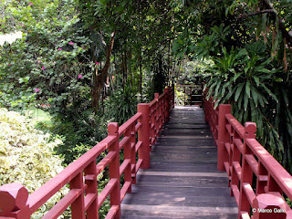 MUSEO SUAN PAKKAD PALACE, BANGKOK. TAILANDIA