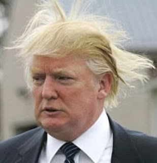 http://www.vanityfair.com/news/photos/2015/09/an-illustrated-history-of-donald-trumps-hair