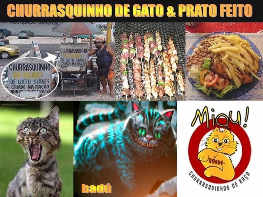 CHURRASQUINHO DE GATO & PRATO FEITO