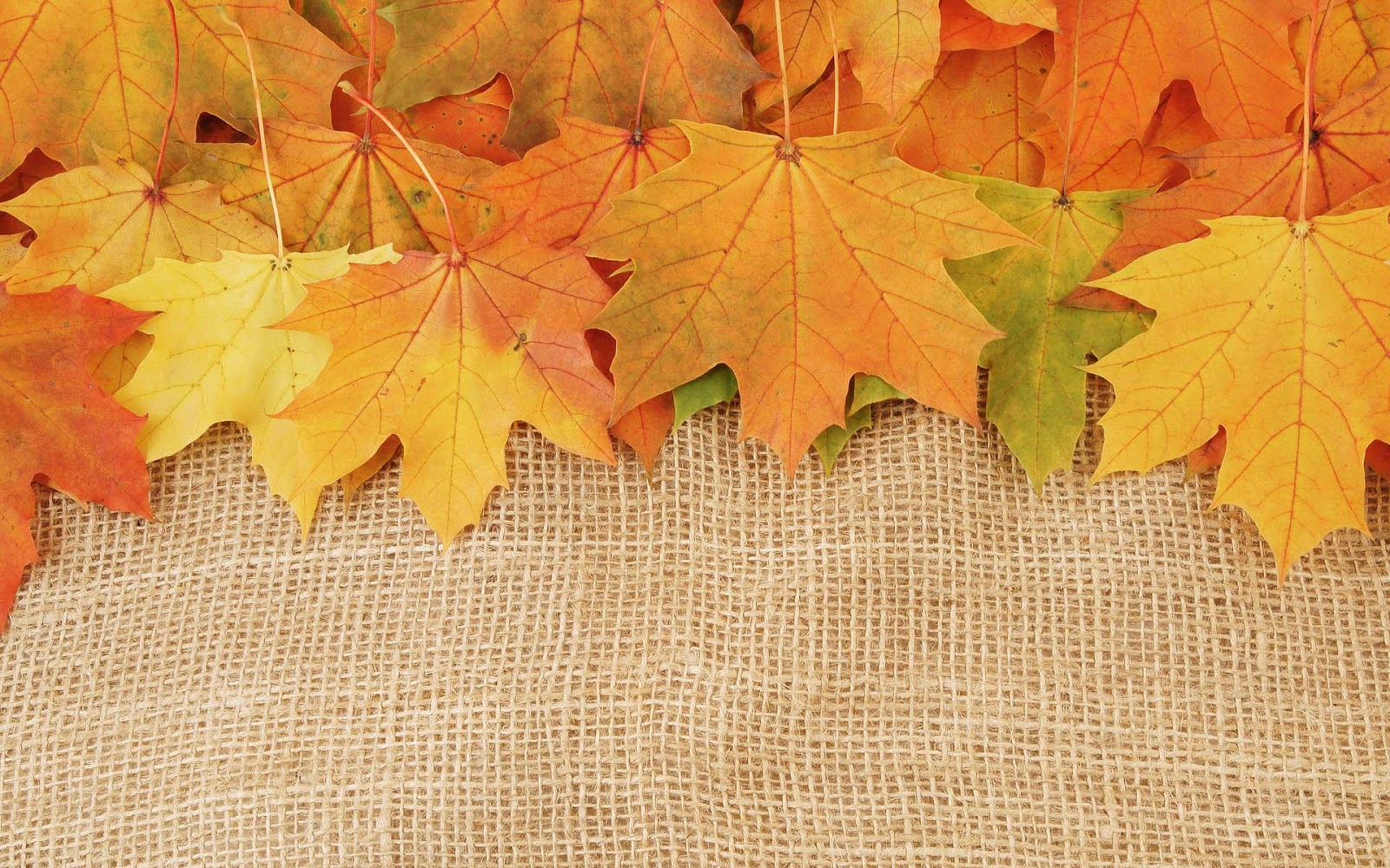 http://4.bp.blogspot.com/-DOIizdYkW2g/UIf_iOF04RI/AAAAAAAAH5A/vijN8b1LG_U/s1600/herfst-wallpaper-met-herfstbladeren.jpg