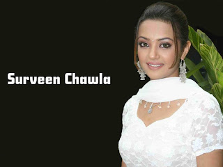 Surveen Chawla Hit Movies