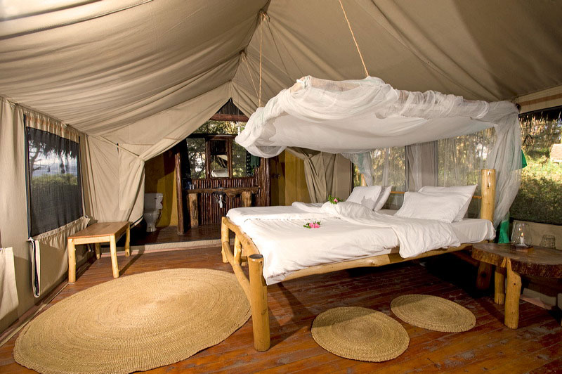 Migunga Forest Camp - Lake Manyara Migunga Forest Camp - Lake Manyara