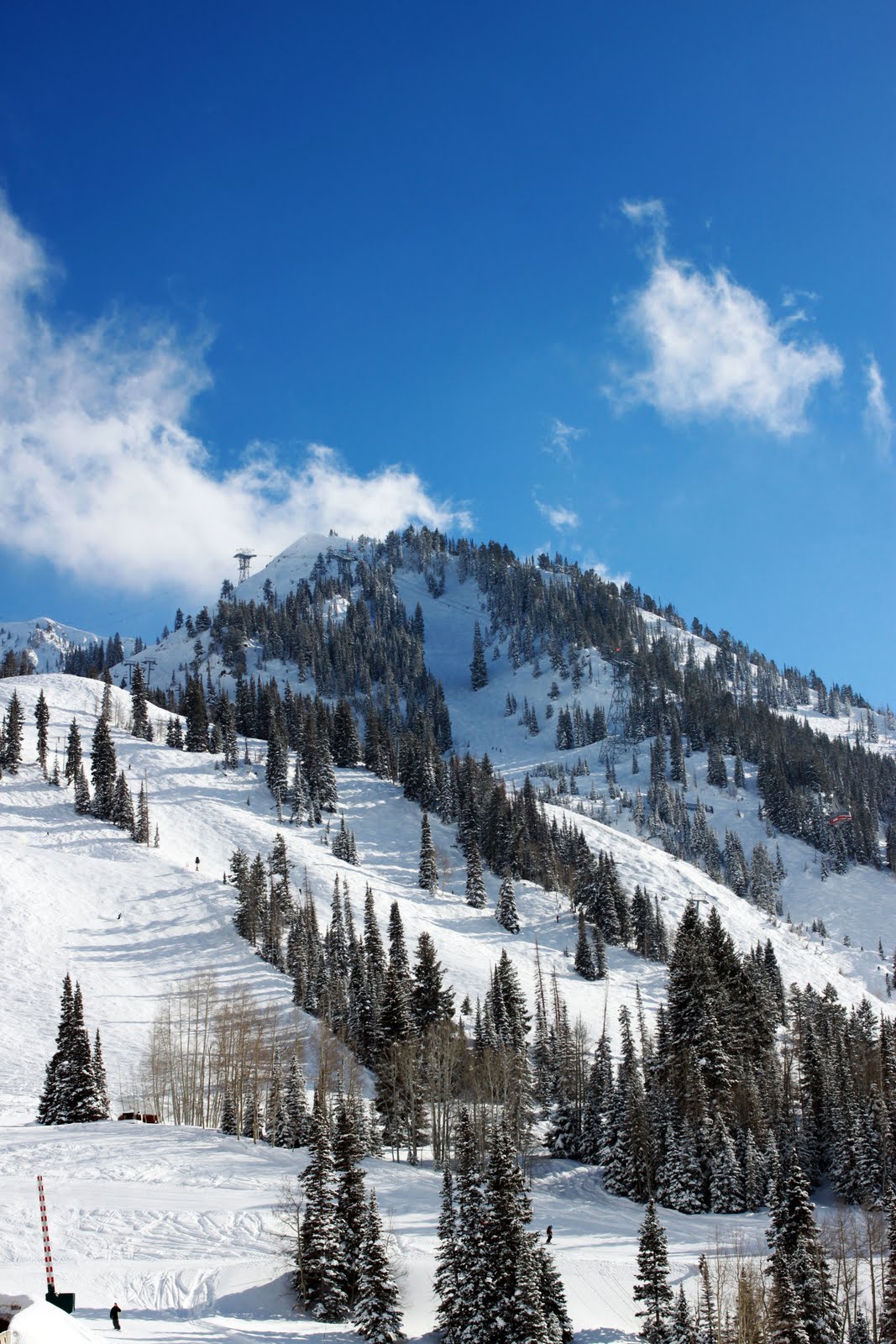 snowbird utah pics