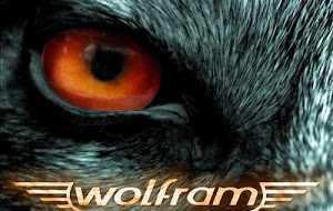 Wolfram - Shadows And Dust (2012) Noruega