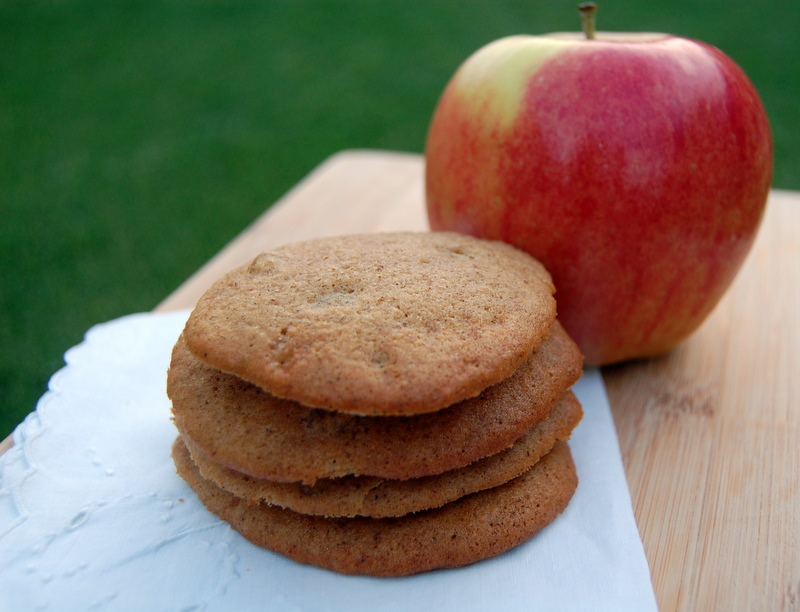Day 98 Cinnamon Applesauce Cookies 365 Days of Baking