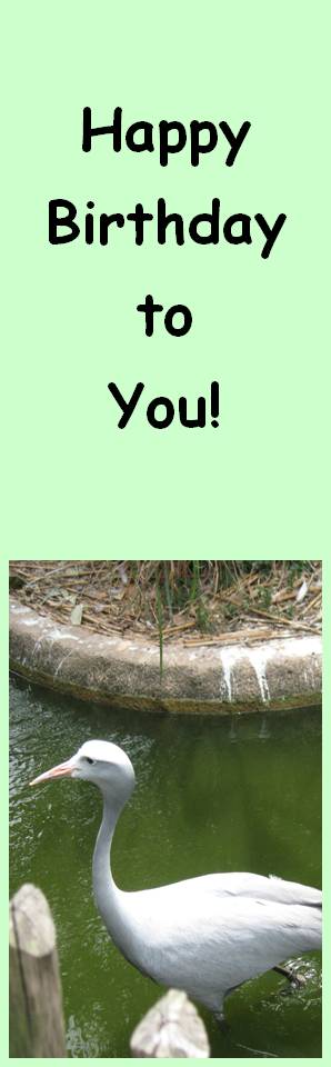 Free Happy Birthday Bookmark Free Happy Birthday Templates. Free Happy Birthday Bookmark