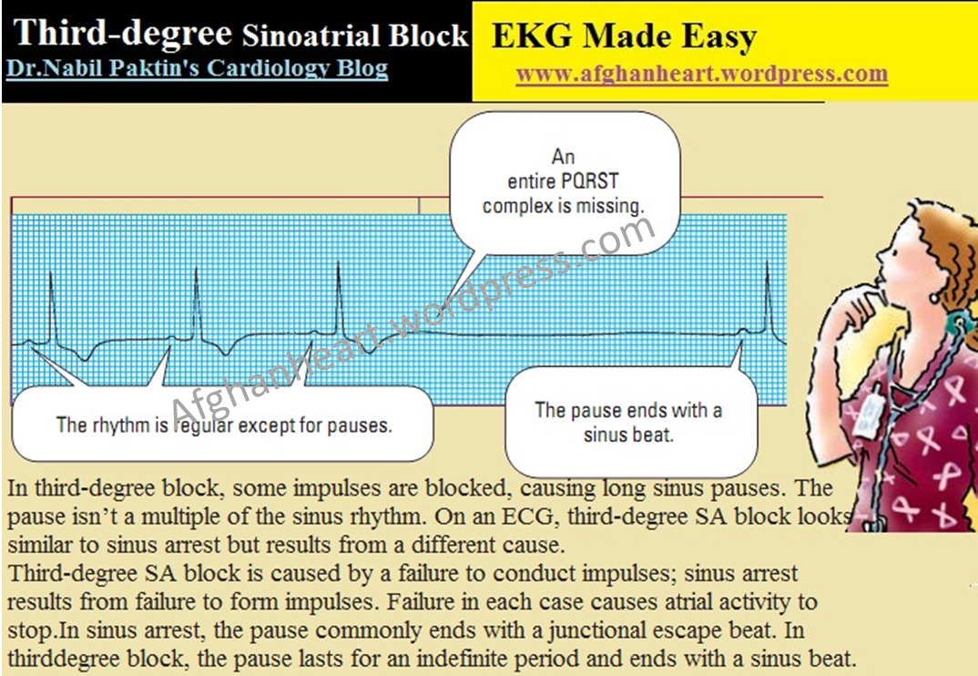 Dr.Nabil Paktin's Cardiology Blog مجله کاردیولوژی دکتور نبــیل پاکطـین