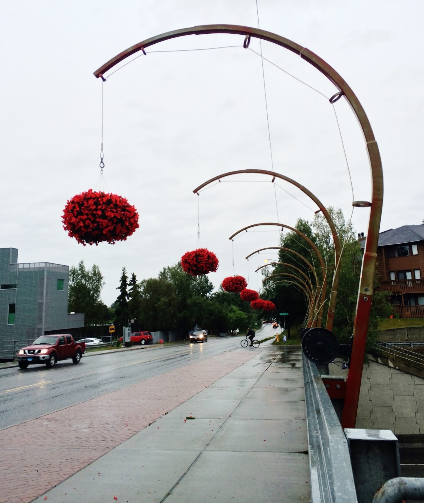 Swallowed Fly Crusades Hanging Baskets in Anchorage