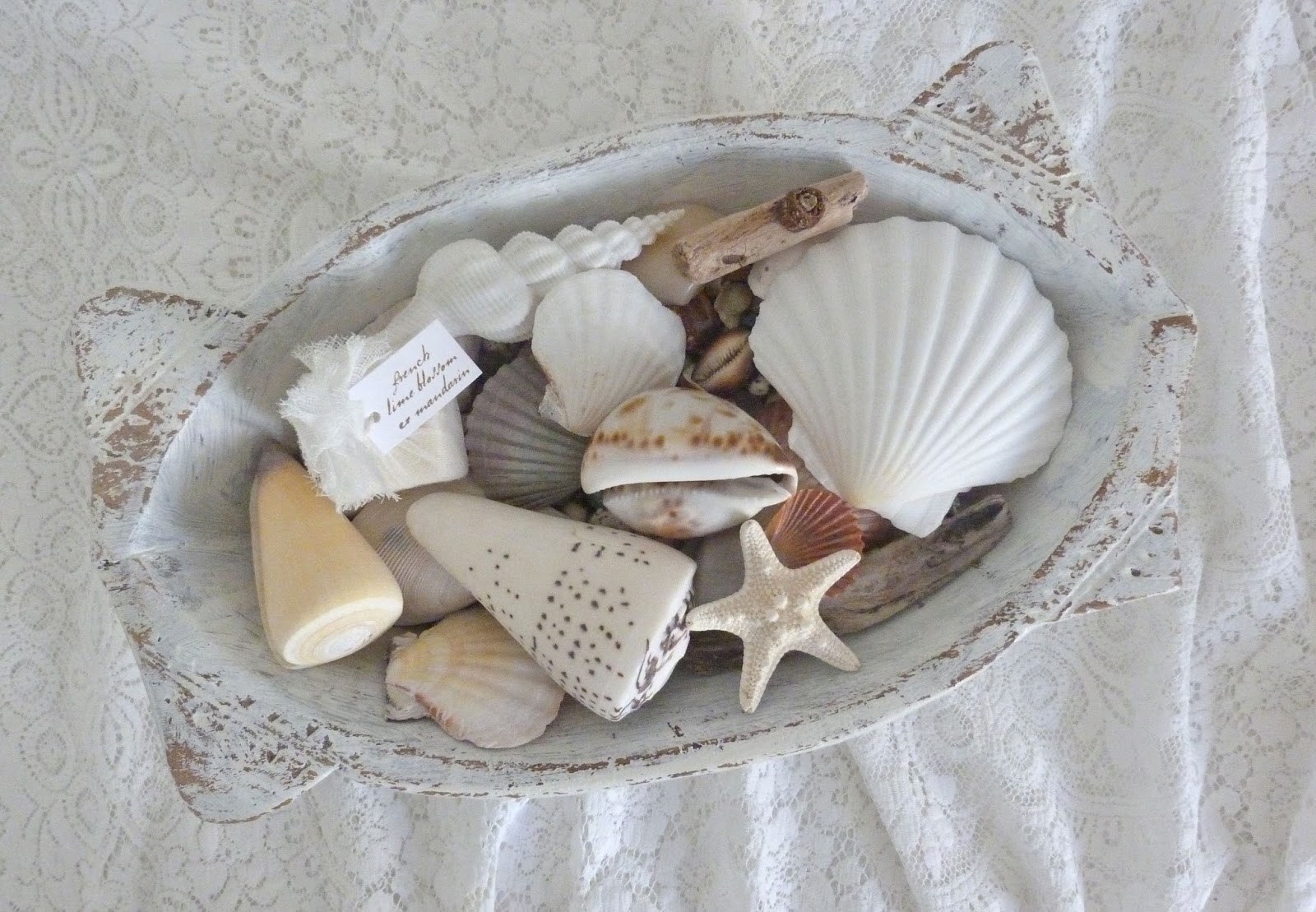 decorating with shells