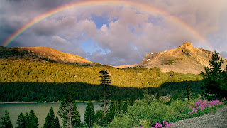 Nature Rainbow