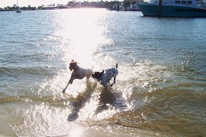 Pete and Libby on Dauphin Island