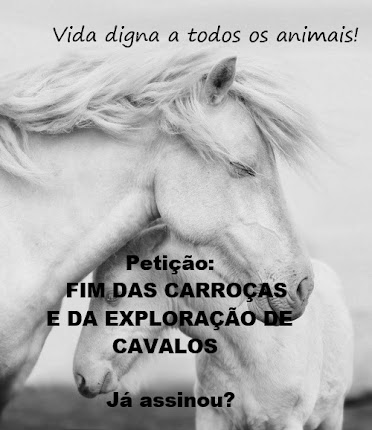 Página da Petição: Fim das Carroças e da Exploração de Cavalos.