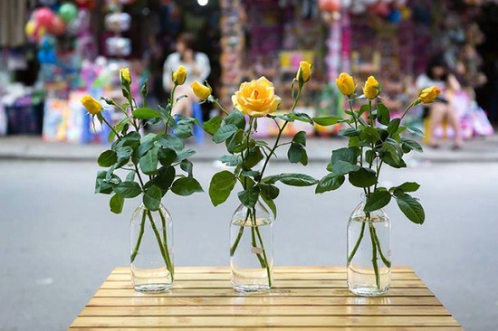 [Image: nhung-binh-hoa-dep-ma-re-6.jpg]