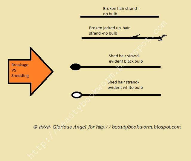 Beauty Bookworm How To Know If Your Hair Is Breaking Or Shedding