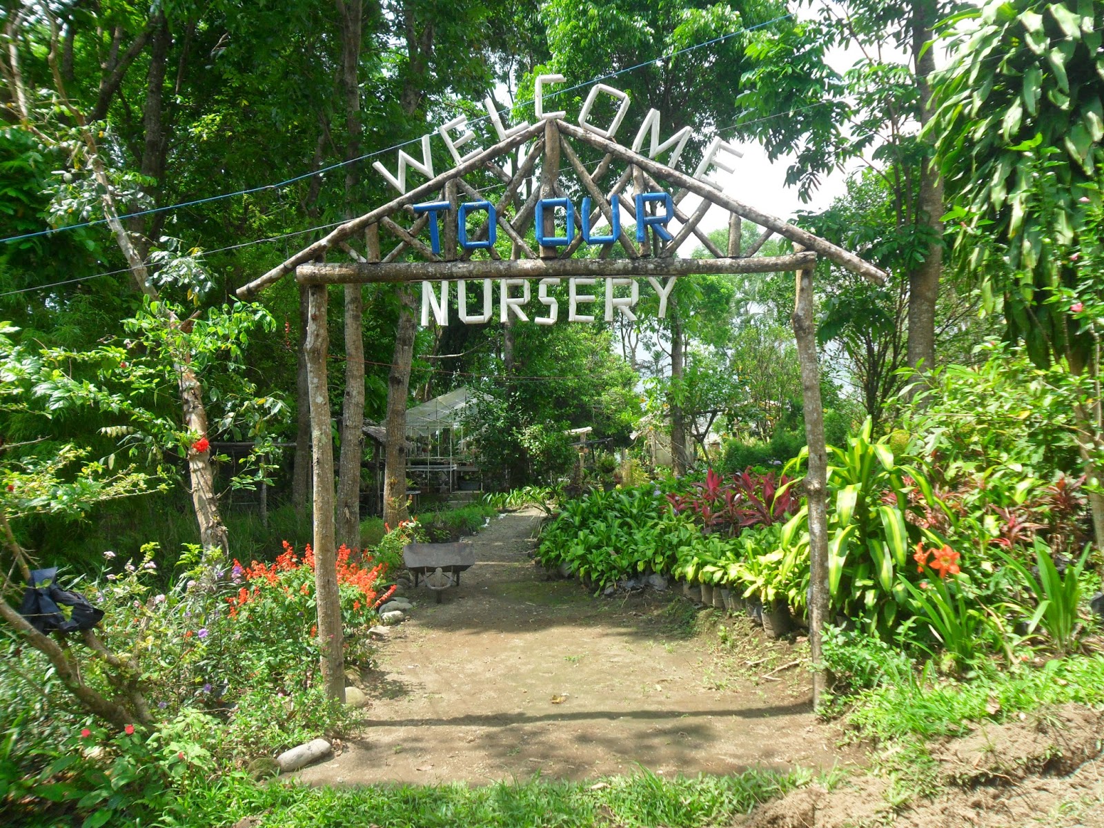 Beaches and Get Aways in Negros Island GUERRERO FARM AND NATURE PARK