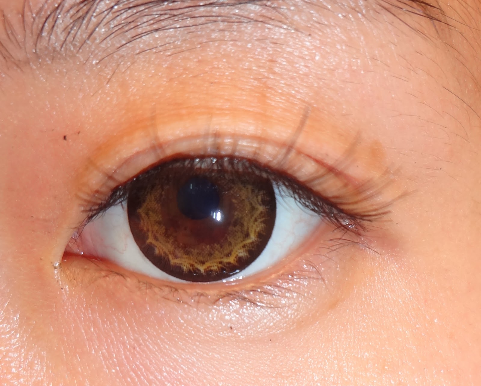 Dolly Eye Brown Bigger Eyes Review