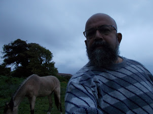 "Selfie" with "Oude Molen Ranch" horse on a rainy day in Cape Town.