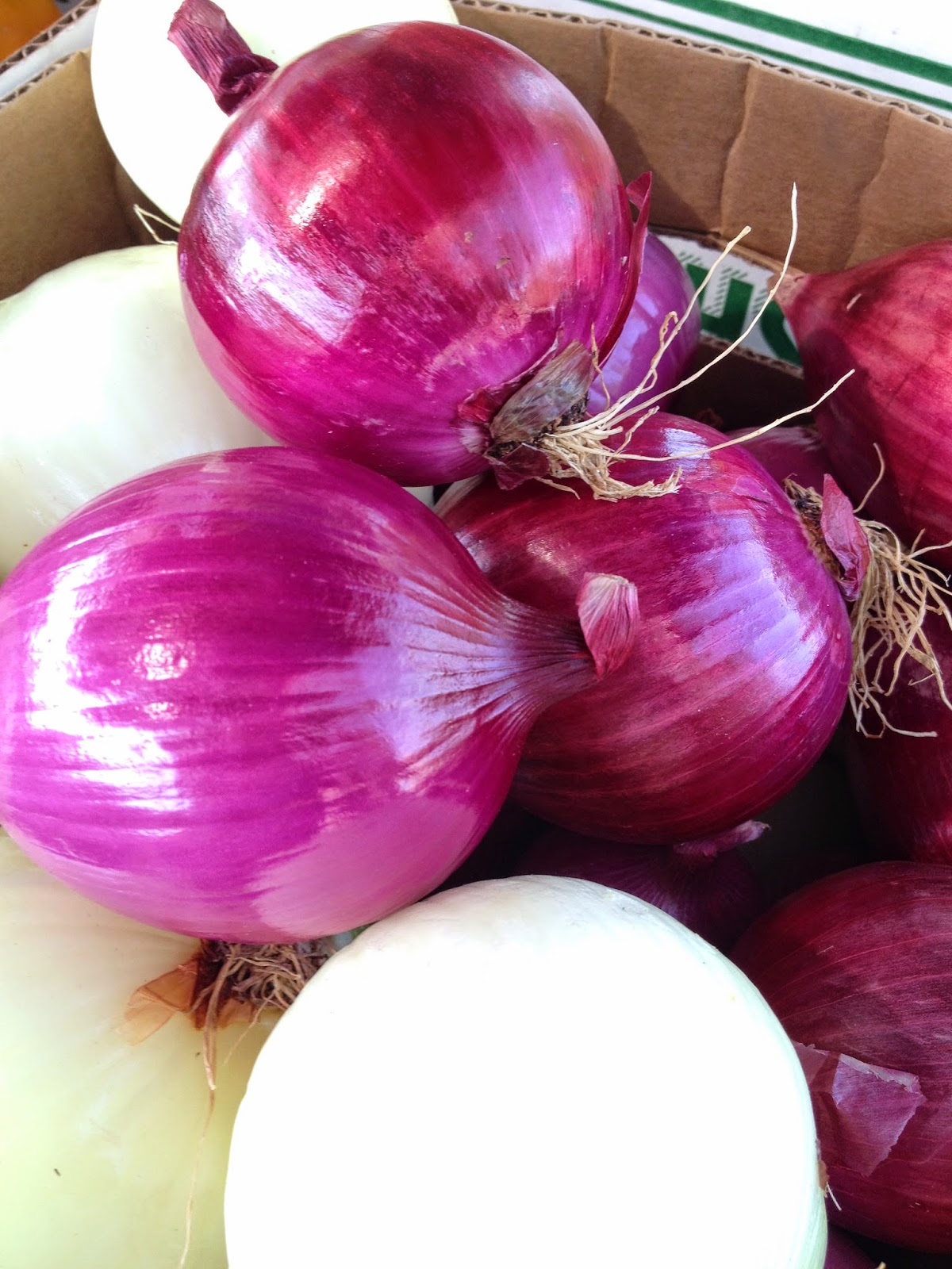 Dinner is Ready! Cucumbers and Onions