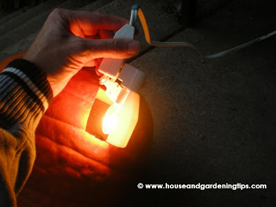 Electrify your Jack-o-lantern: Step 2 -slip a nightlight and extension cord into the jack-o-lantern