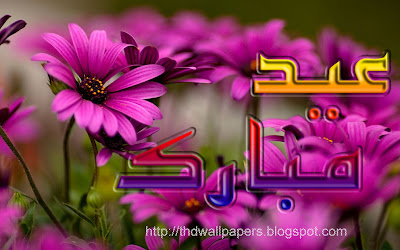 Lotus Flowers Eid-ul-Adha Zuha Mubarak Cards 2012 Urdu Text