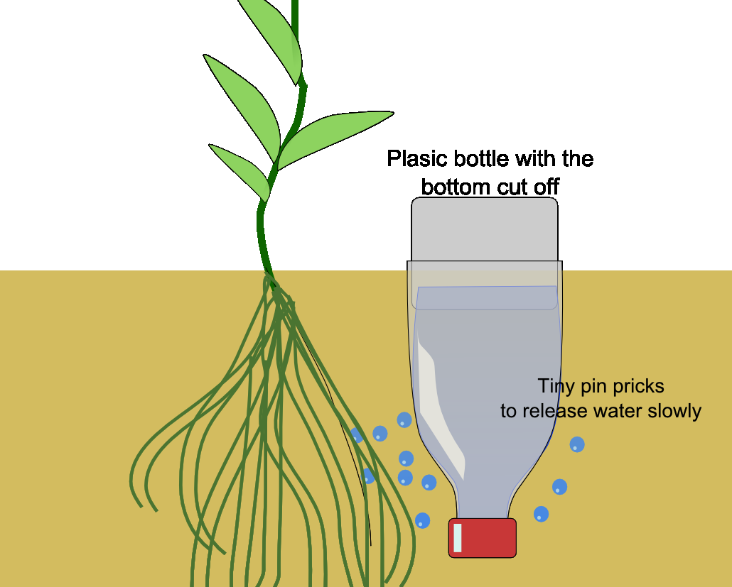 Drip Irrigation Bottles world agriculture