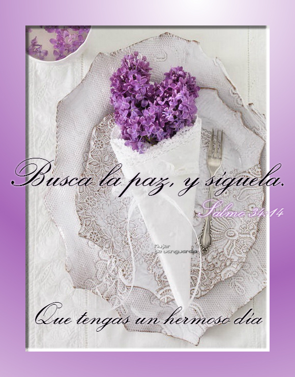 Busca la paz y síguela Imágenes con frases que hacen bien al alma