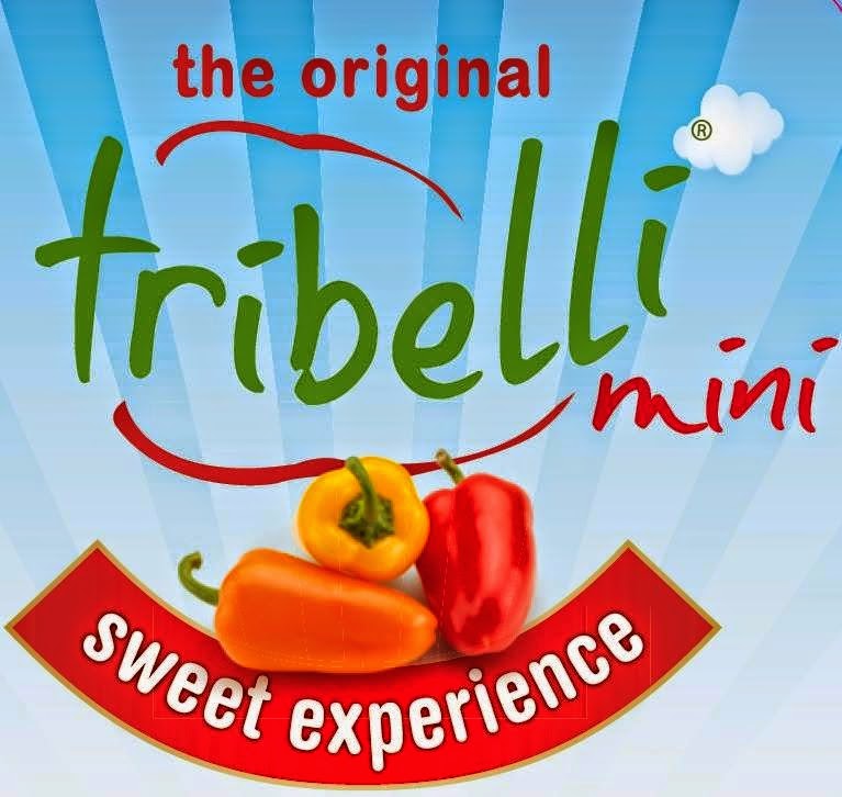 Tribelli