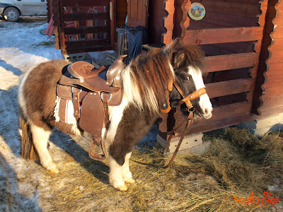Ponei la Partie de Schi Bucin