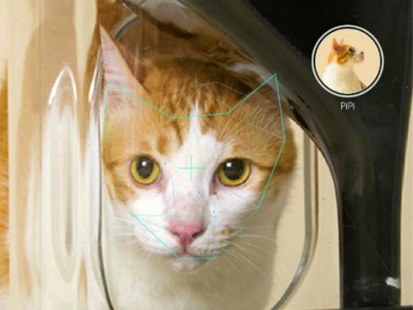 Кормушка для котов с системой распознавания морд Кормушка для котов с системой распознавания морд