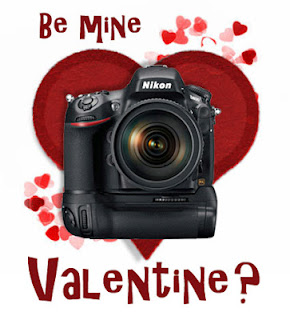 The Nikon D800