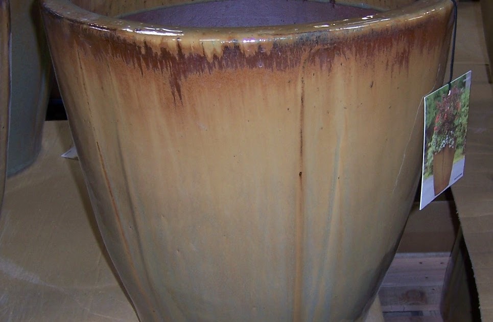 The 2 Minute Gardener Photo Ceramic Pot at Costco