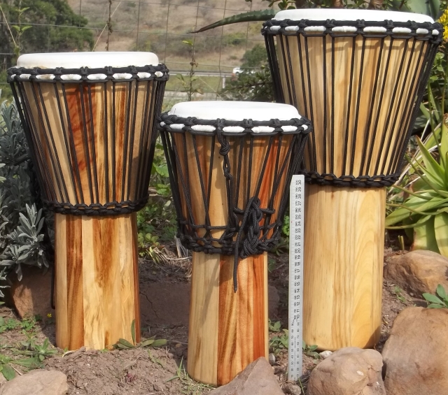 Djembe Days BONGOS, CONGAS, DJEMBES AND ASHIKOS