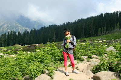 ”Kashmir