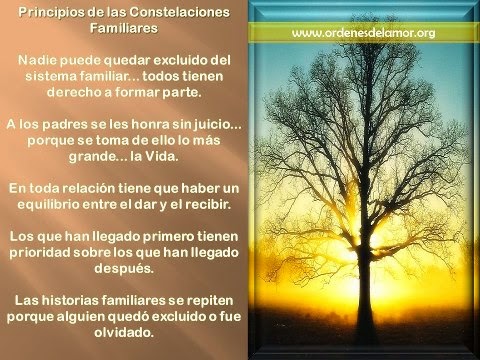 PRINCIPIOS DE LAS CONSTELACIONES FAMILIARES