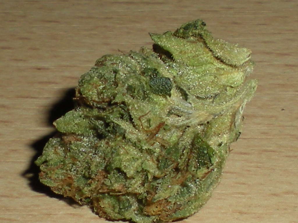 Oasis Og