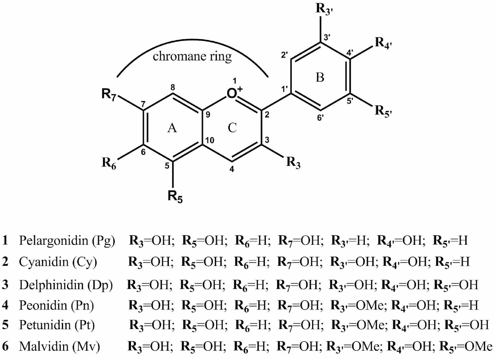 Wine -- Mise en abyme: Anthocyanin content as a source of color in red wine