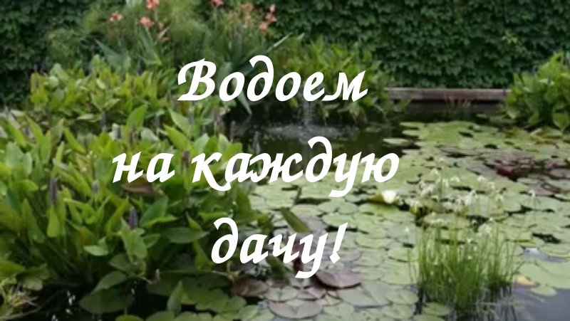Вероника егорова огород от а до я Вероника егорова огород от а до я